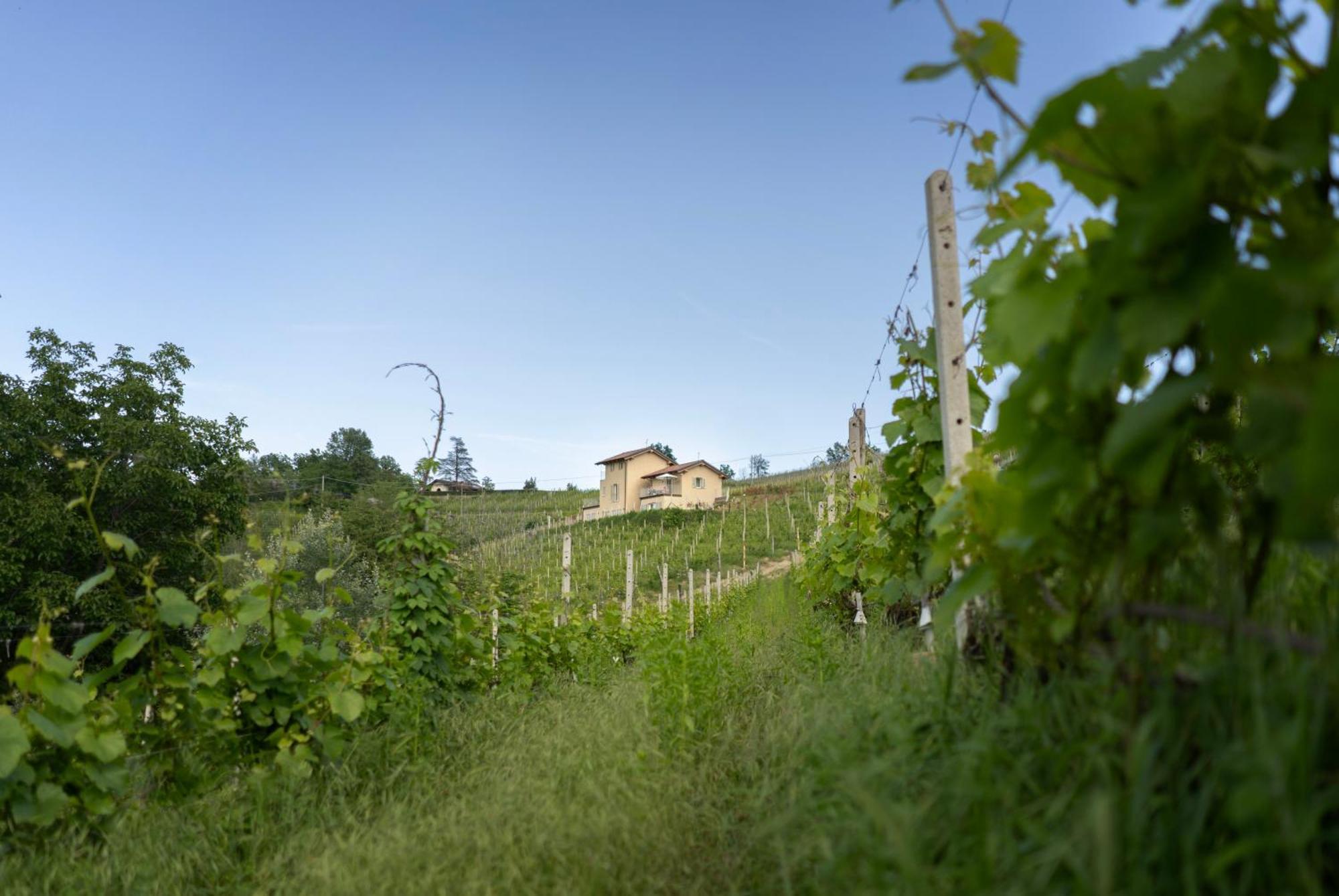 I Ciabot Di Monforte Monforte dʼAlba Exteriör bild